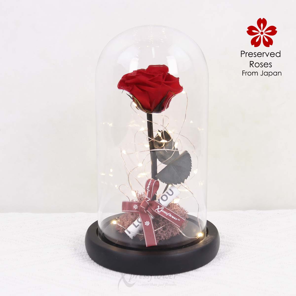Twilight Lust (Preserved Red Rose with LED Lights)