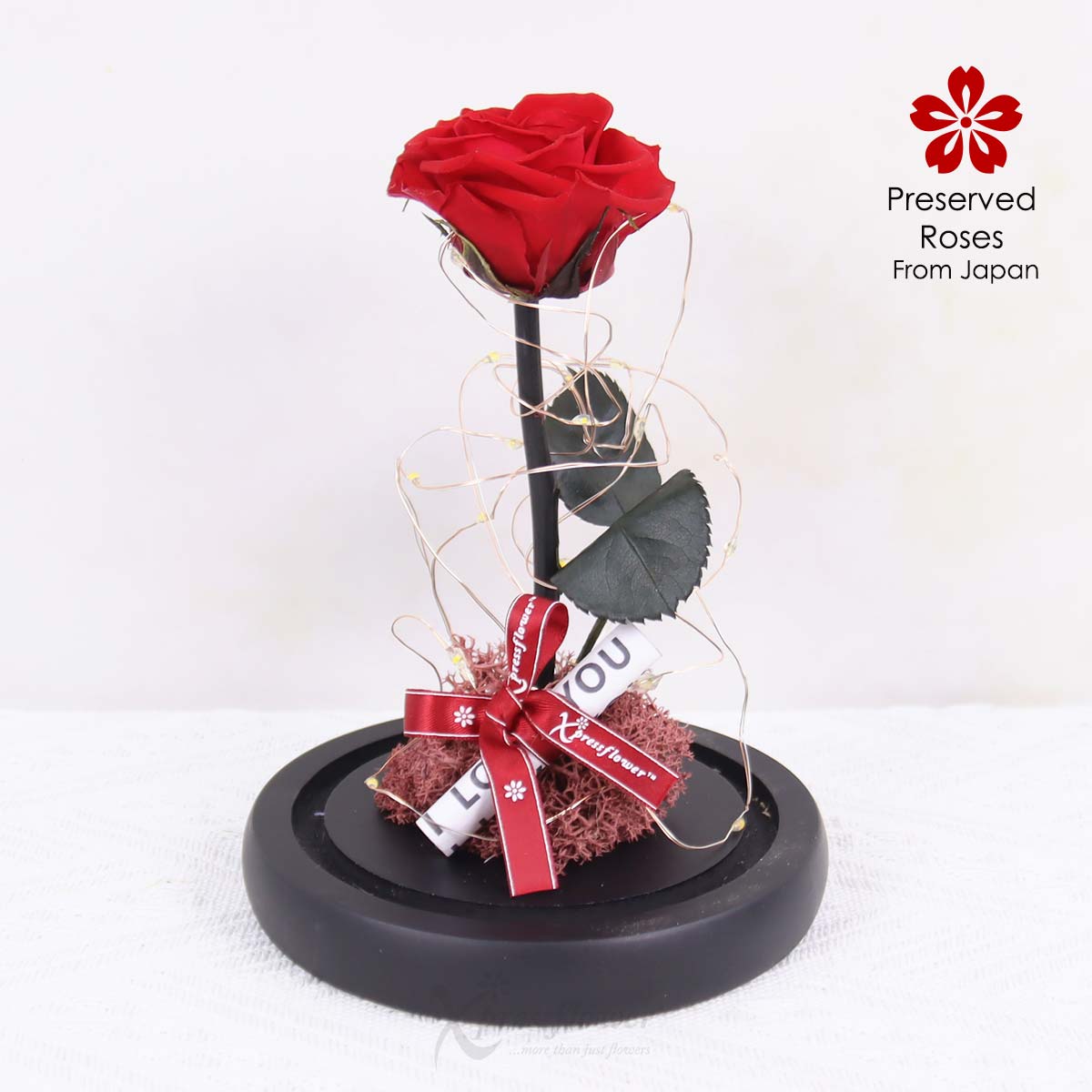 PR2503 Twilight Lust Preserved Red Rose with LED Lights 1b