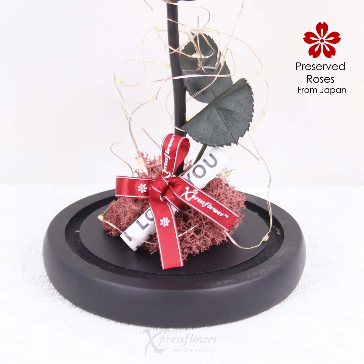 PR2503 Twilight Lust Preserved Red Rose with LED Lights 1c