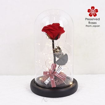 Twilight Lust (Preserved Red Rose with LED Lights)