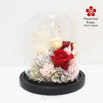 Majestic Eleganza (Preserved Roses & Flowers)