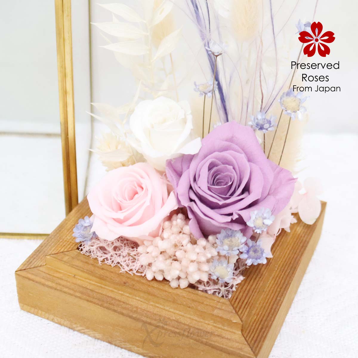 PR2506 Pastel Retreat Preserved Roses & Flowers 1c