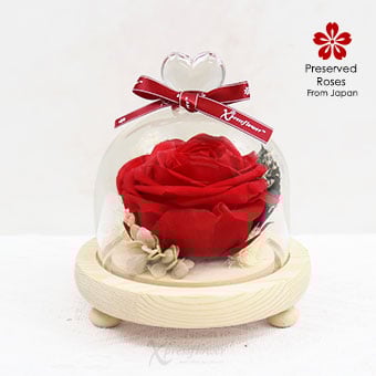 Blooming Heart (Preserved Red Rose)