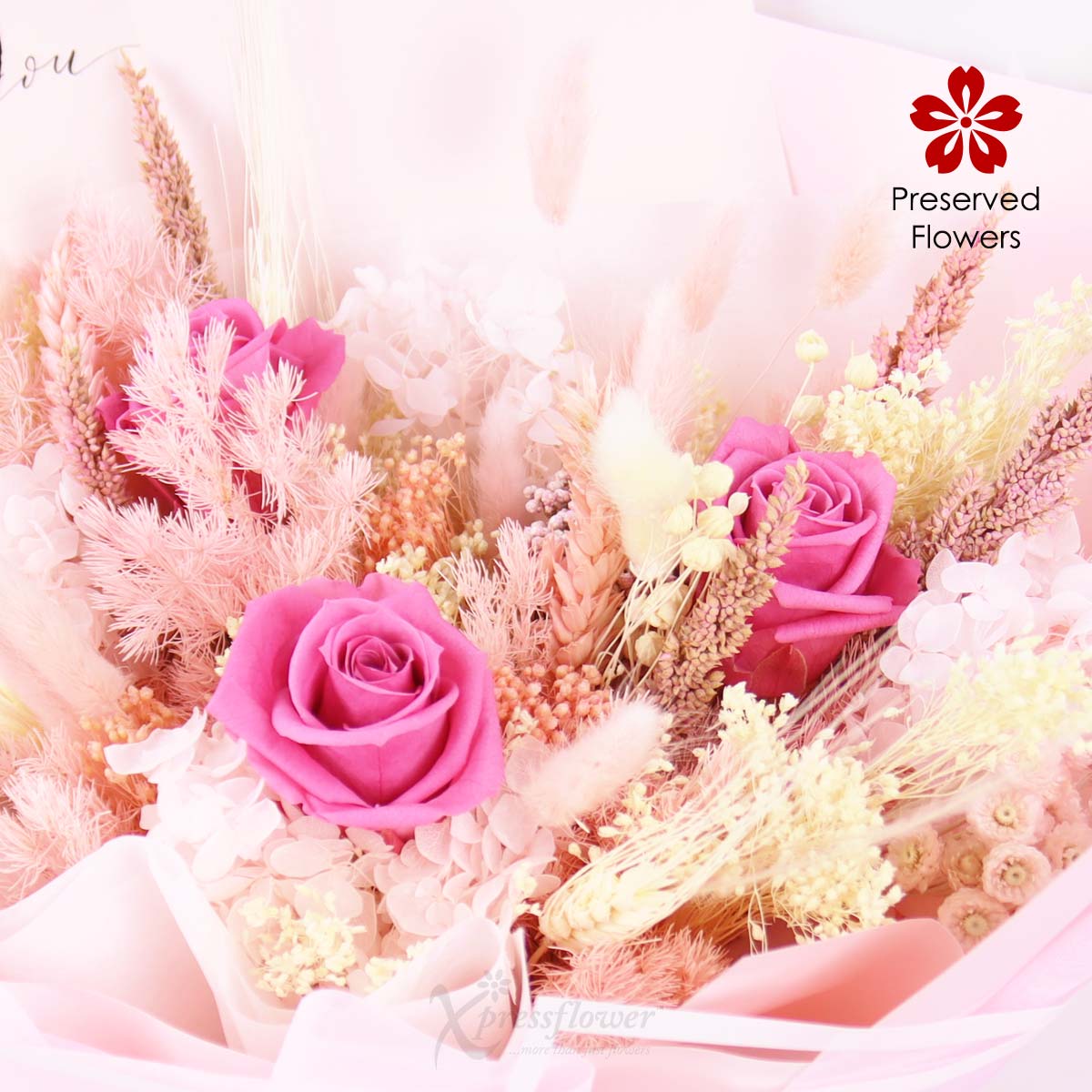 PR2561 Timeless Blush Preserved Flowers 1d