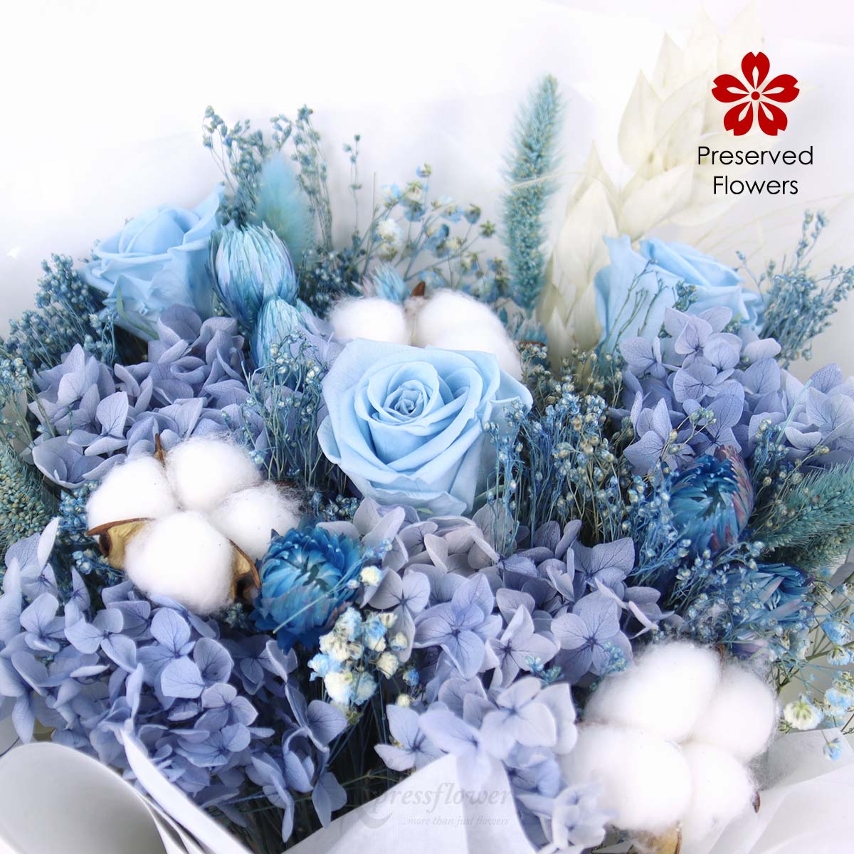 PR2563 Sapphire Eternity Preserved Flowers 1d