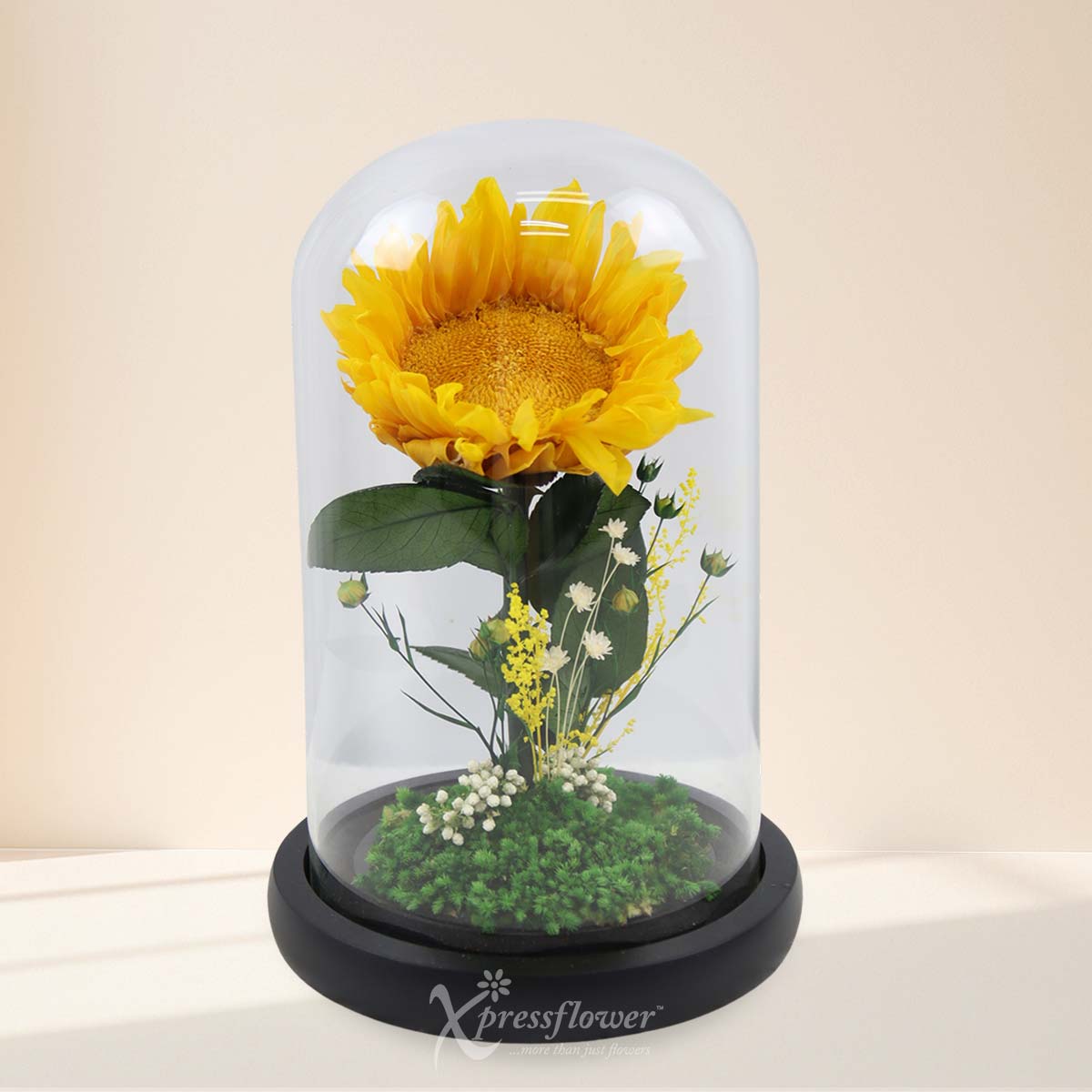 Golden Solace (Preserved Sunflower)