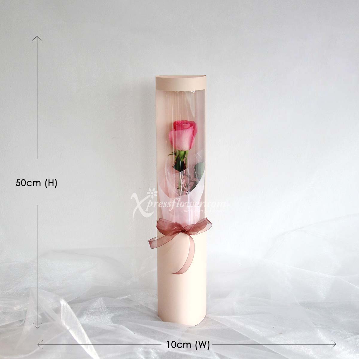 abu2101 Just Like A Rose 1 Pink Rose 1b