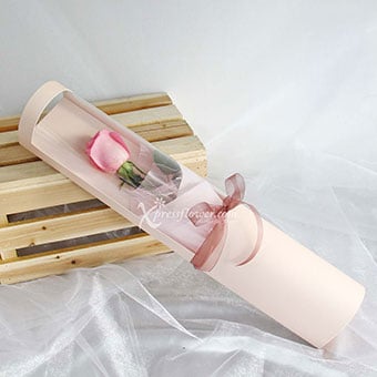 Just Like A Rose (1 Pink Rose)