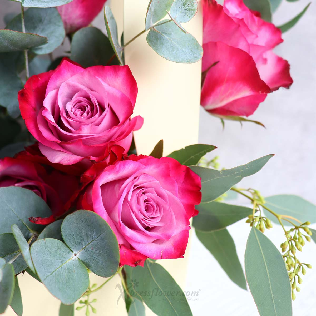 abu2202_blooming mulberry 6 yam roses with mini heart balloon new 1c