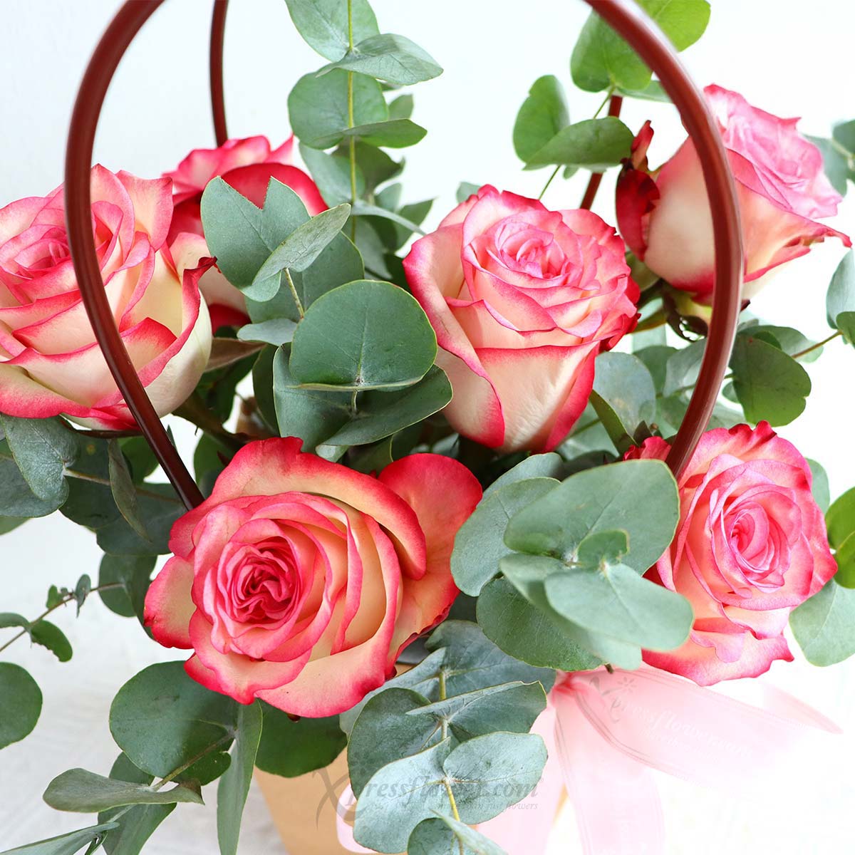 ar2234 glowing ingrid 6 2 toned pink roses new 1c