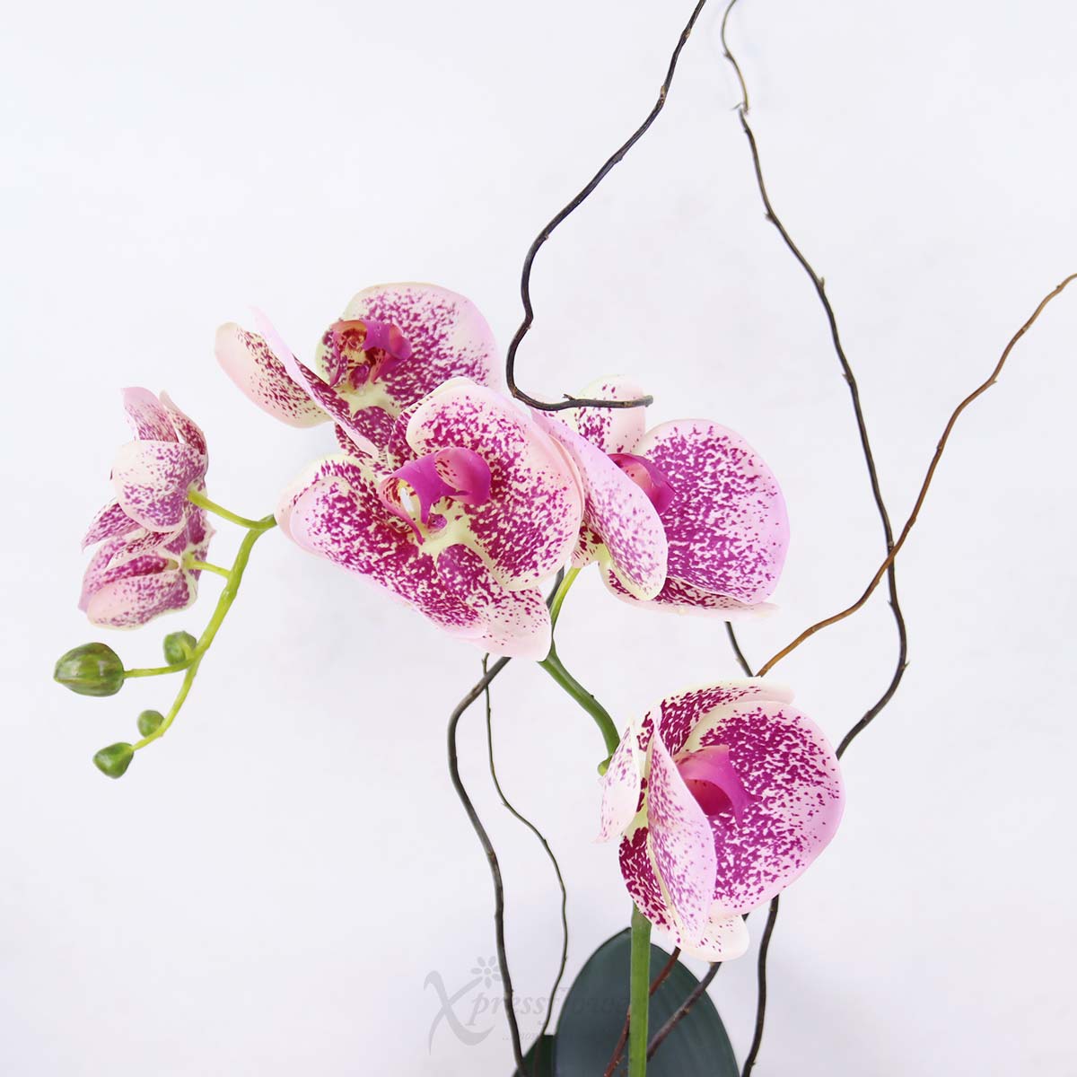 EB2506 Zen Beauty Artificial Flowers 1c