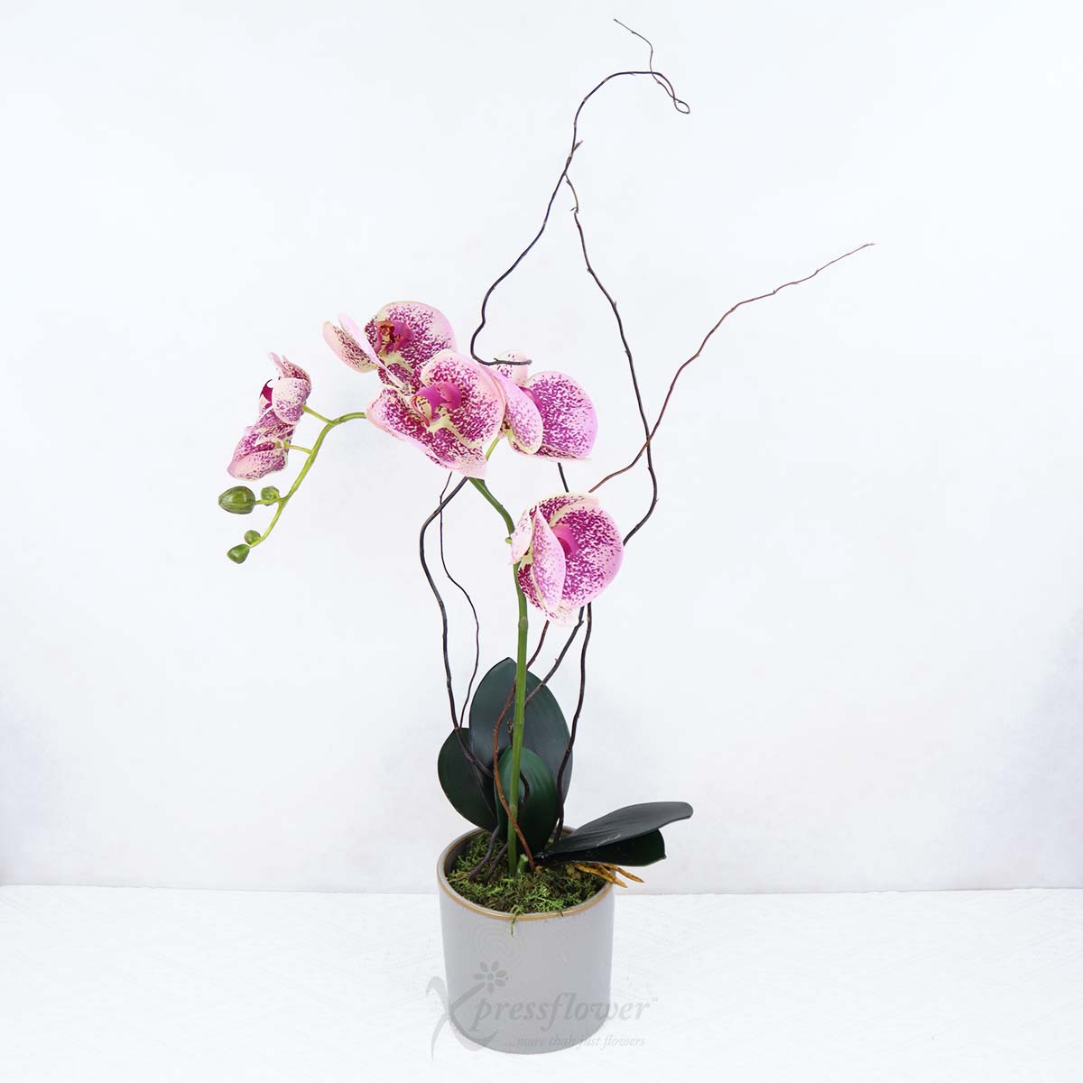 EB2506 Zen Beauty Artificial Flowers 1d