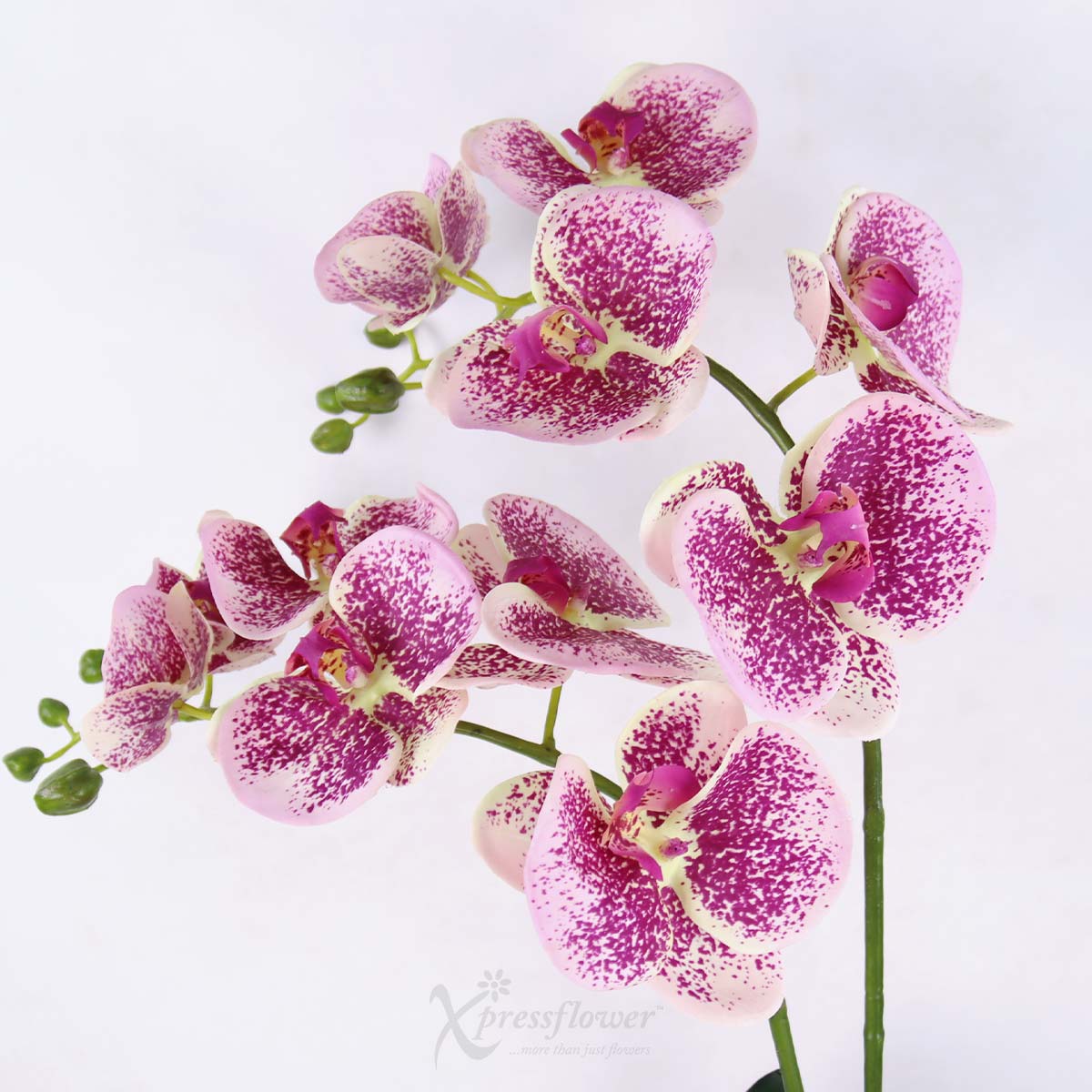 EB2507 Petal Poise Artificial Flowers 1c