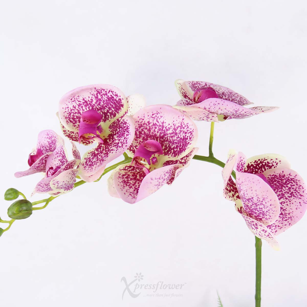 EB2508 Midnight Grace Artificial Flowers 1c