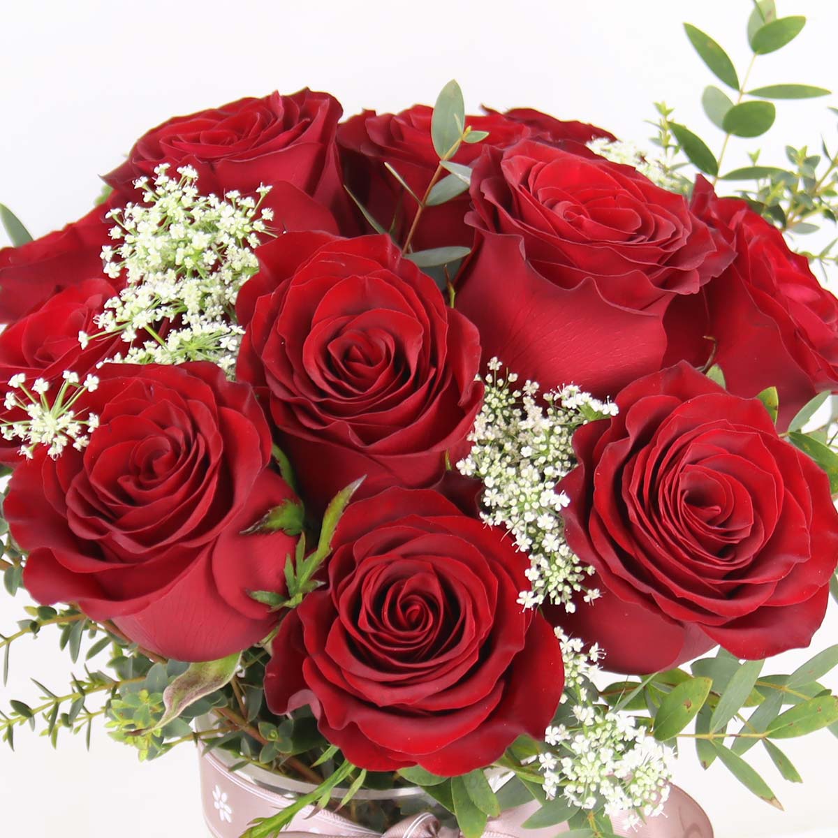AR2512 Deep Admiration 12 Red Roses 1c