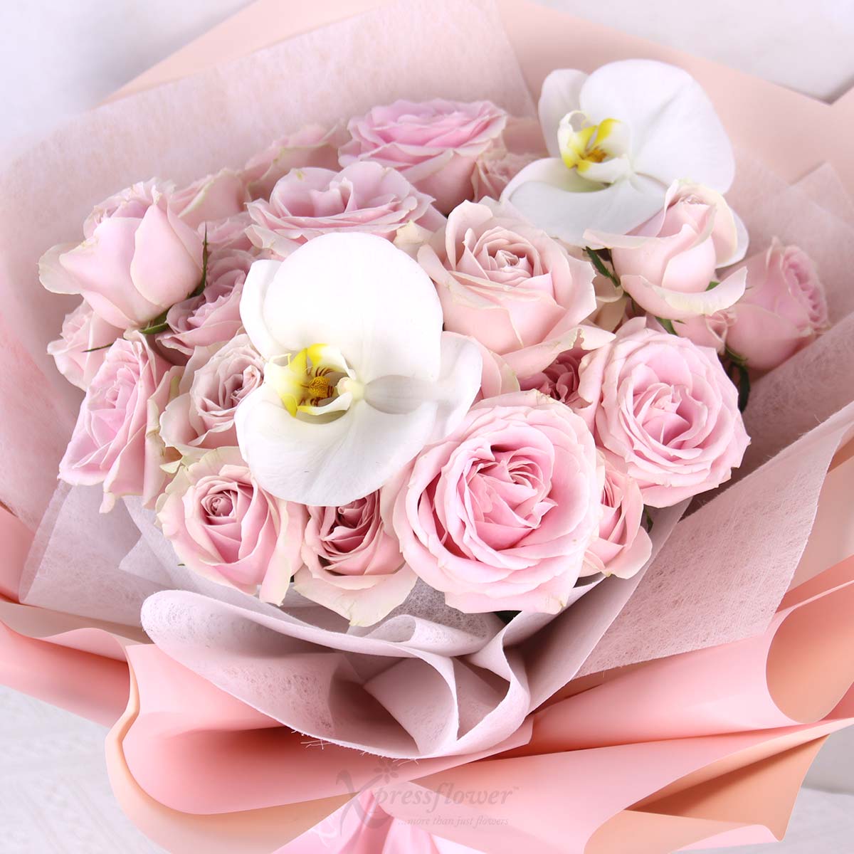 Blush Elegance 33 Pink Roses with 2 White Orchids 1c