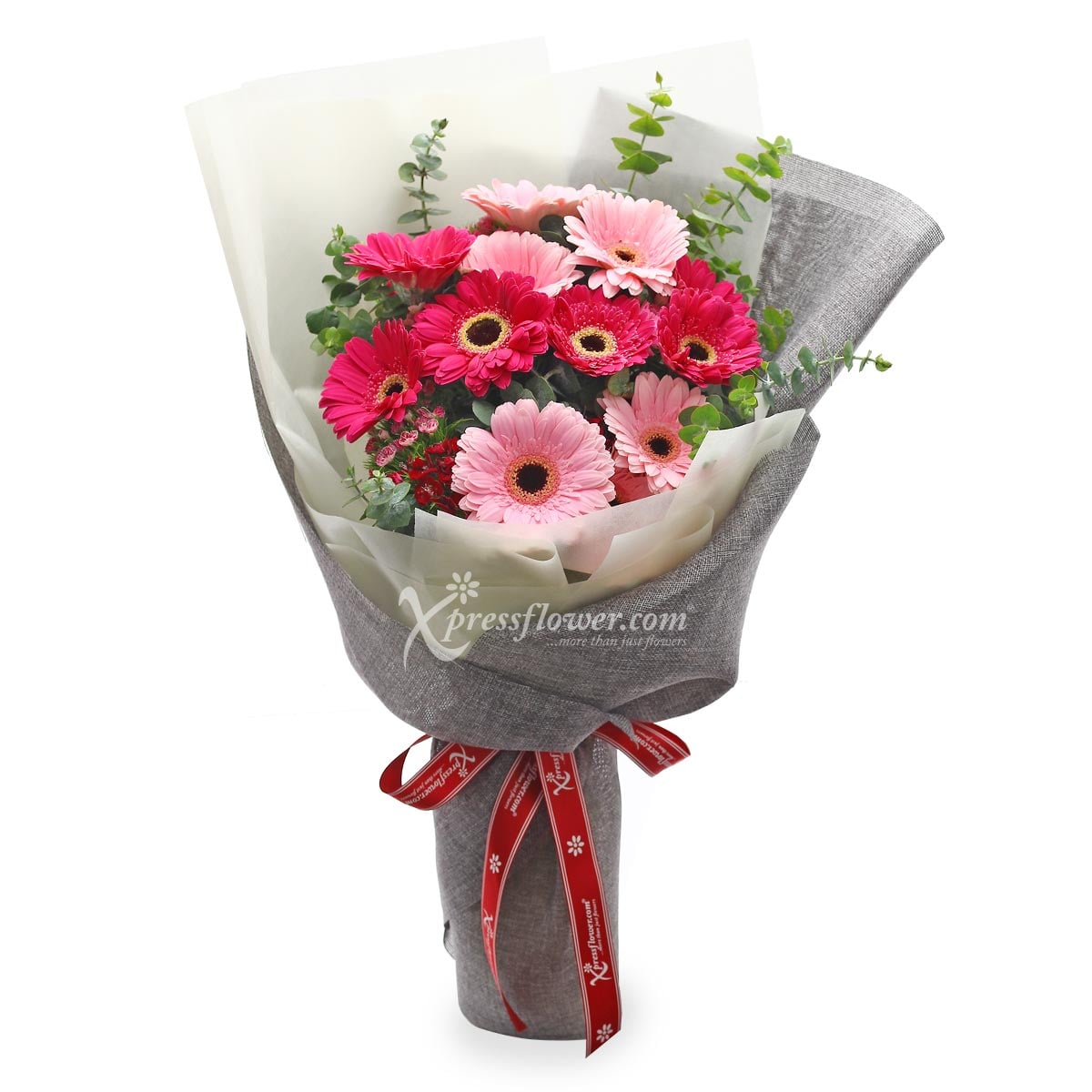 Exuberant Radiance (12 Gerberas)