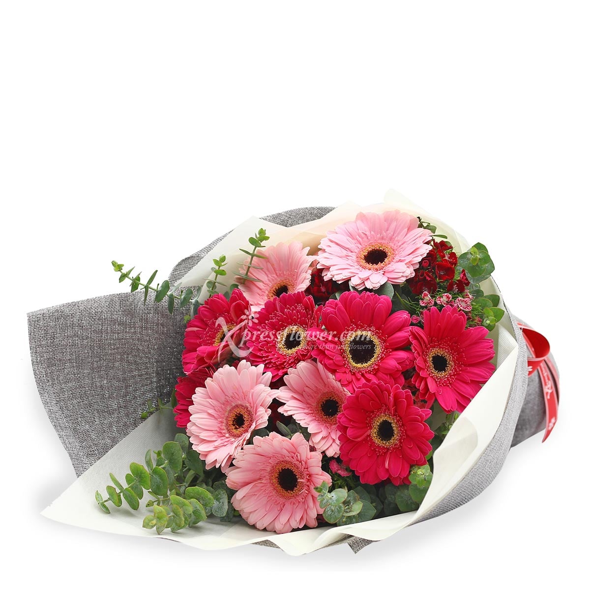 BQ1820 Exuberant Radiance