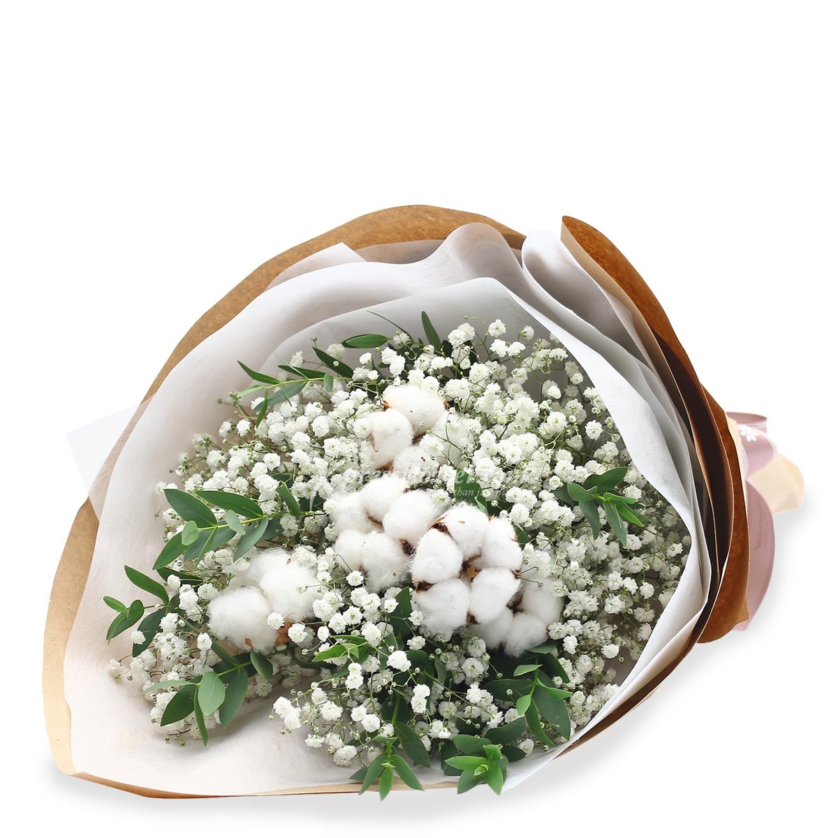 BQ1823 Fuzzy Feelings