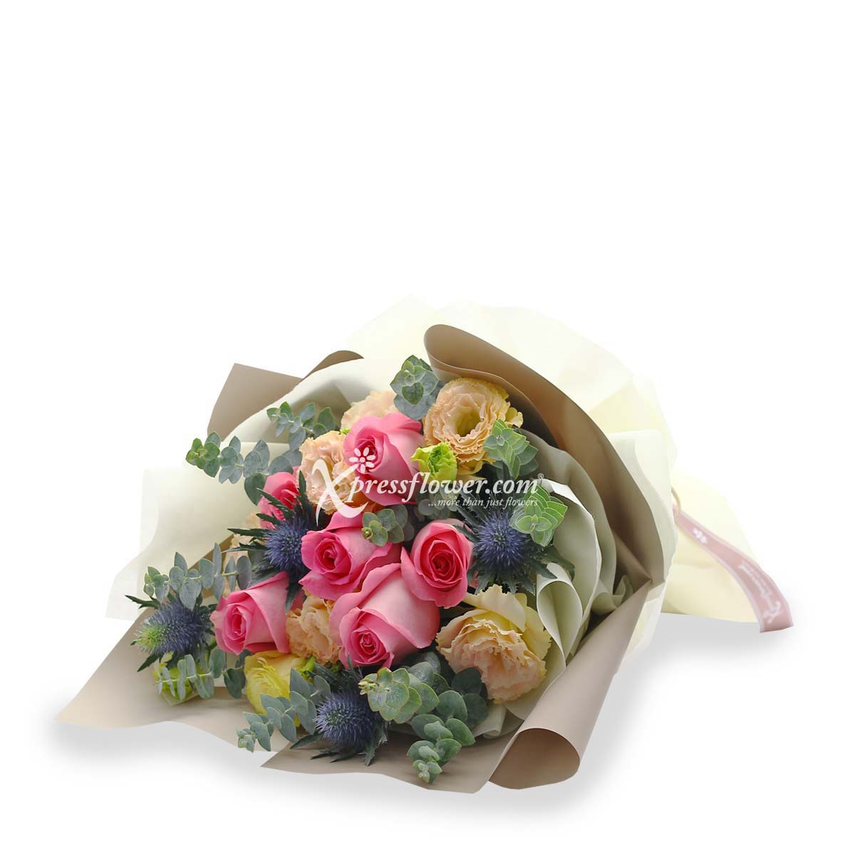 bq1901 wildest dream 6 Dark Pink Roses 1b