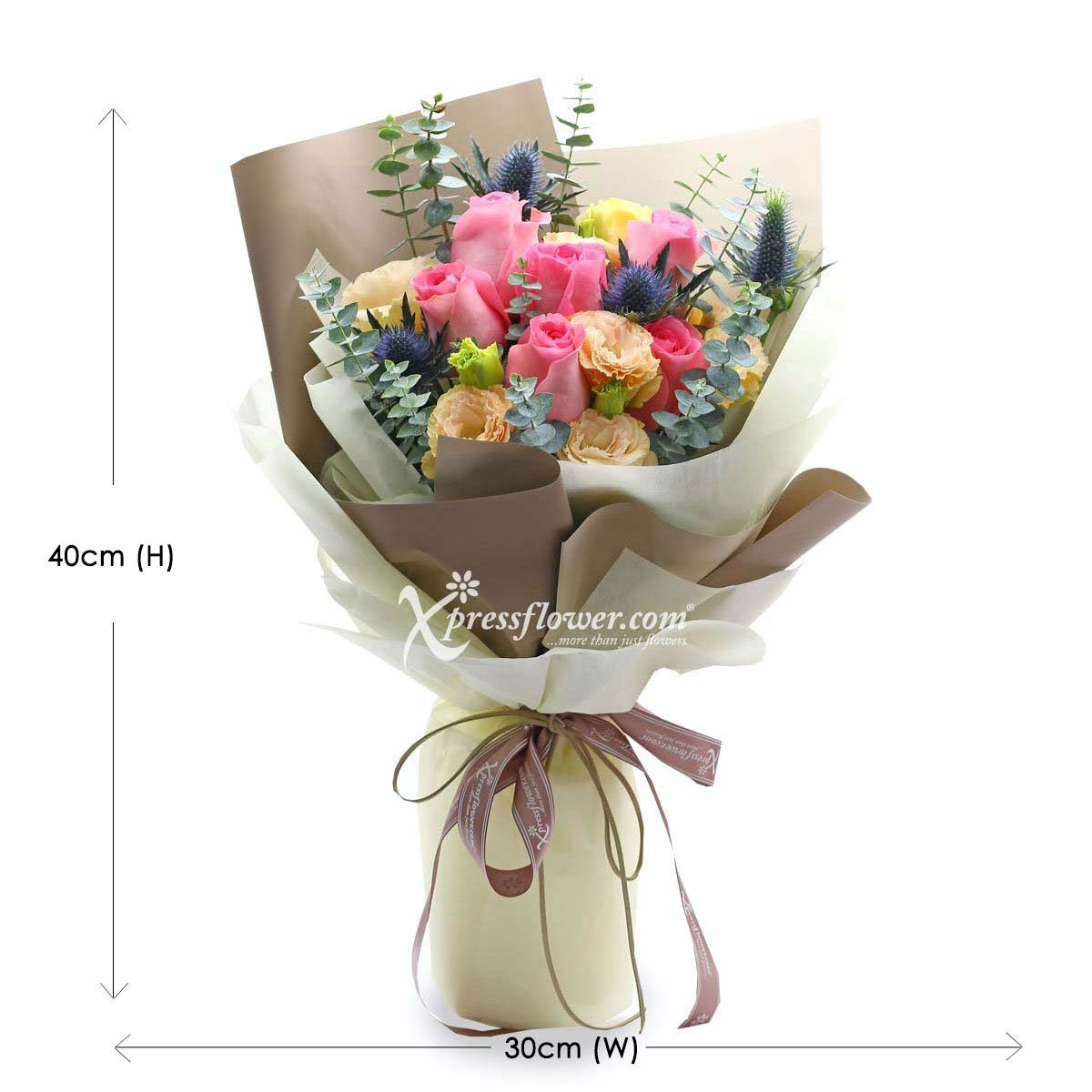 bq1901 wildest dream 6 Dark Pink Roses 1c