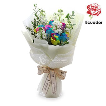 Love Prism (6 stalks Premium Ecuador Rainbow Roses)