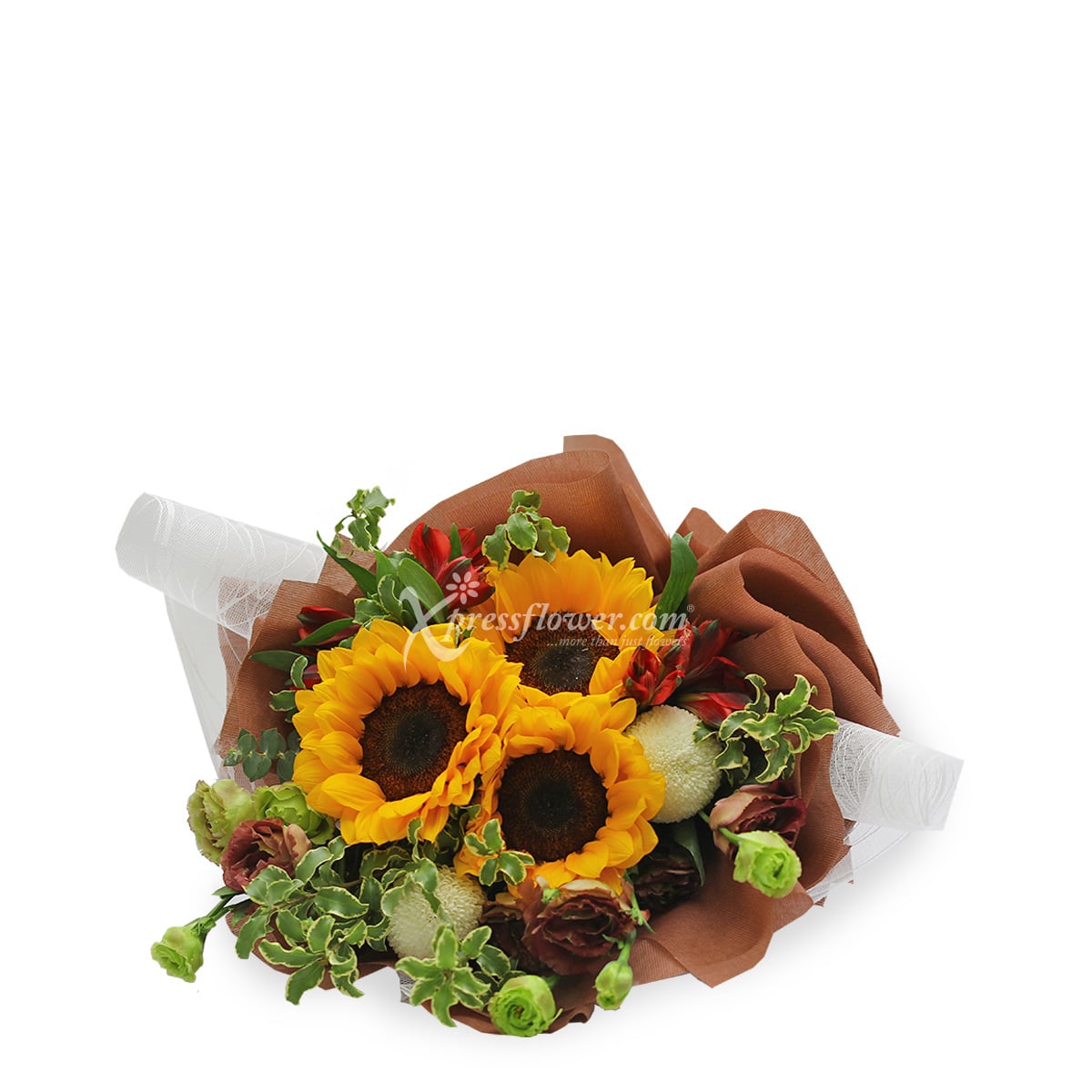 BQ1927 You are the Sunflower