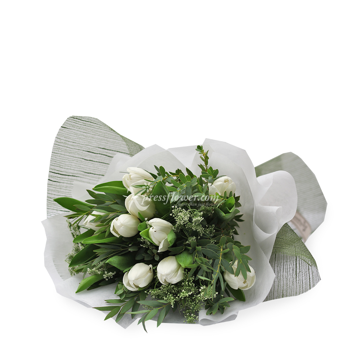 BQ1936 Light My World