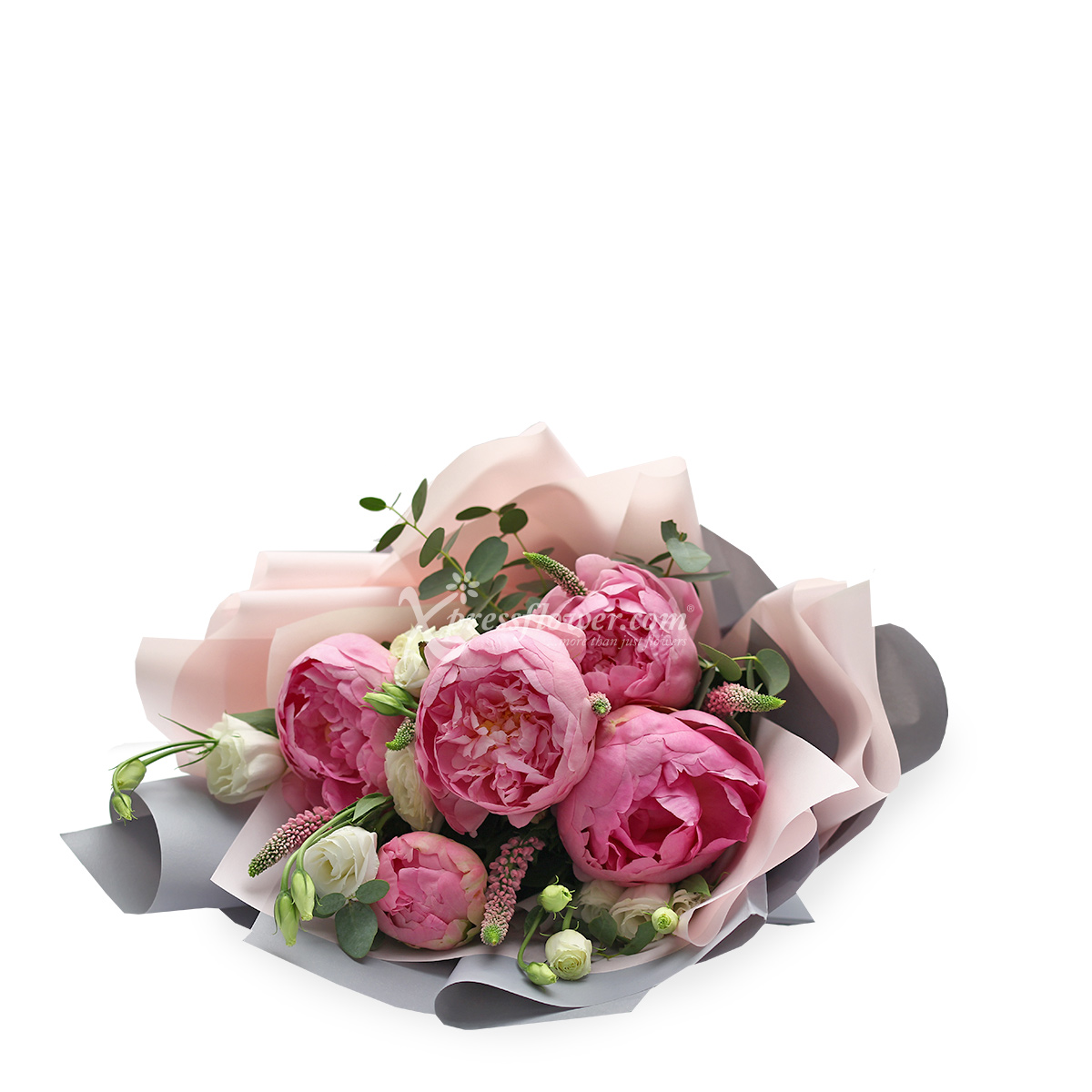 BQ1943 Alluring Reverie