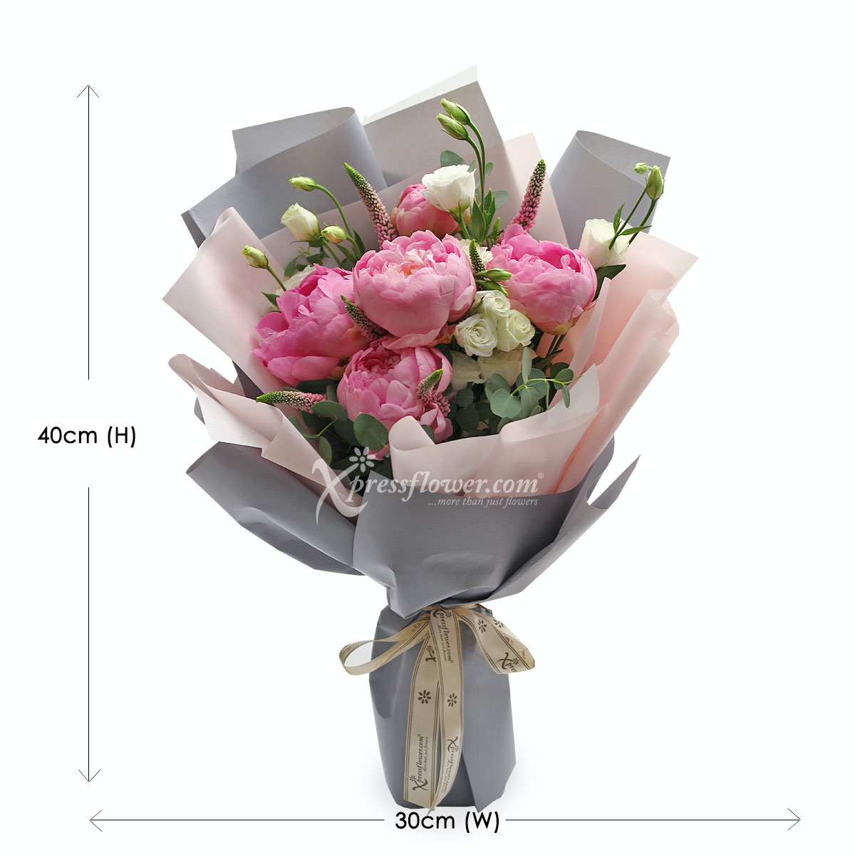 BQ1943 Alluring Reverie