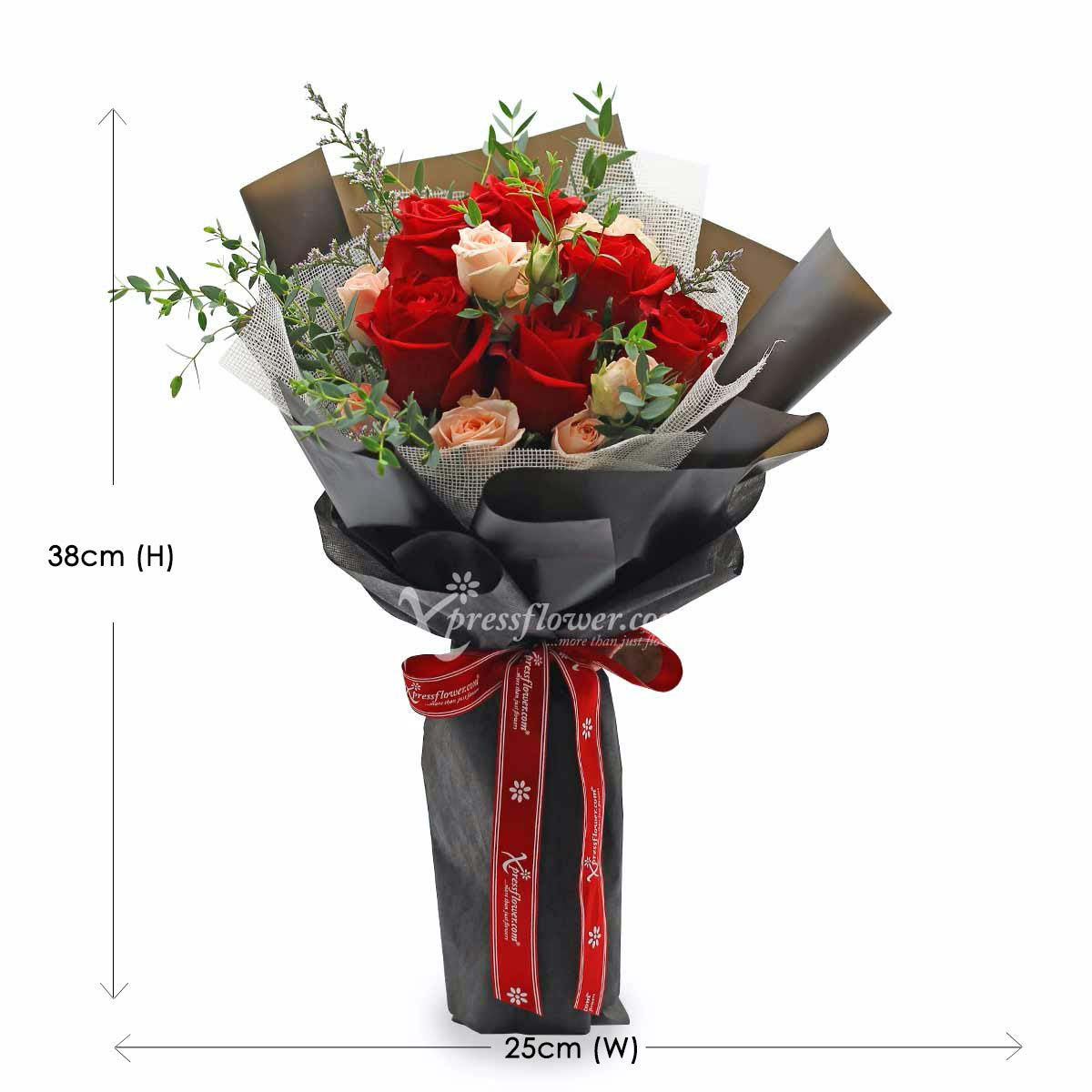 bq2001 lost in your gaze 6 Red Roses 1c