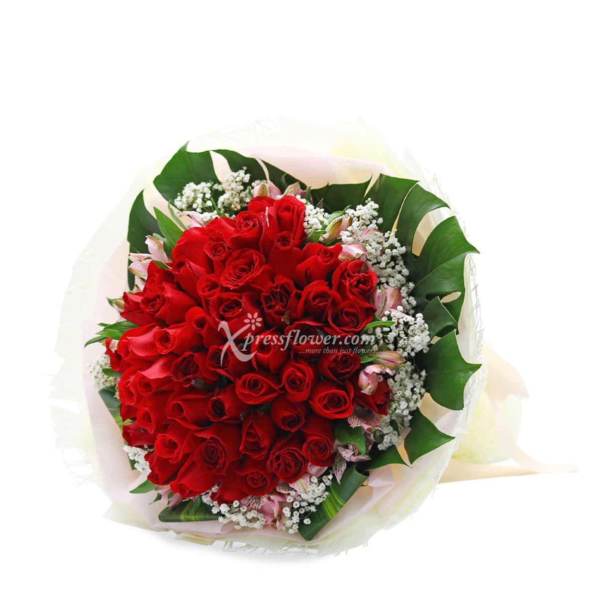 My Universe (50 Red Roses)