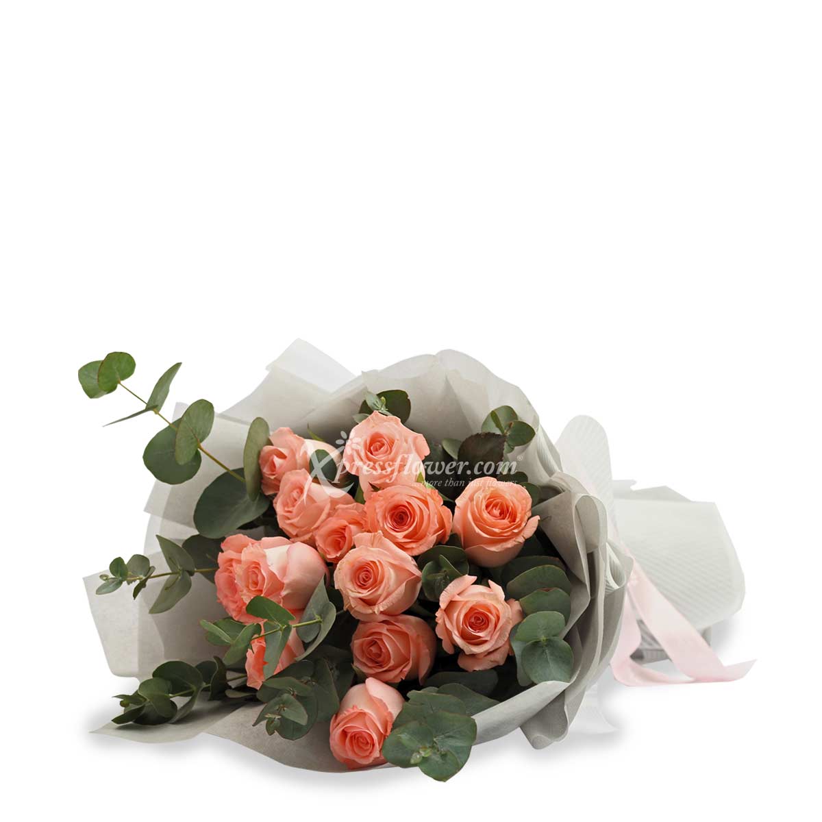 BQ2016 Rose Quartz