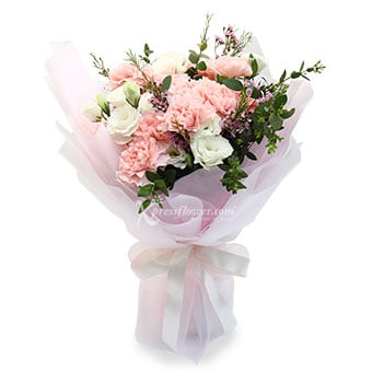 Pastel Blossoms (12 Pink Carnations)