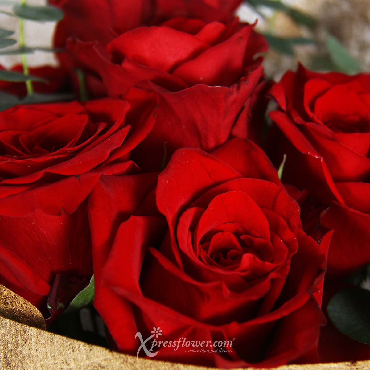 bq2201 flaming passion 6 Red Roses 1c