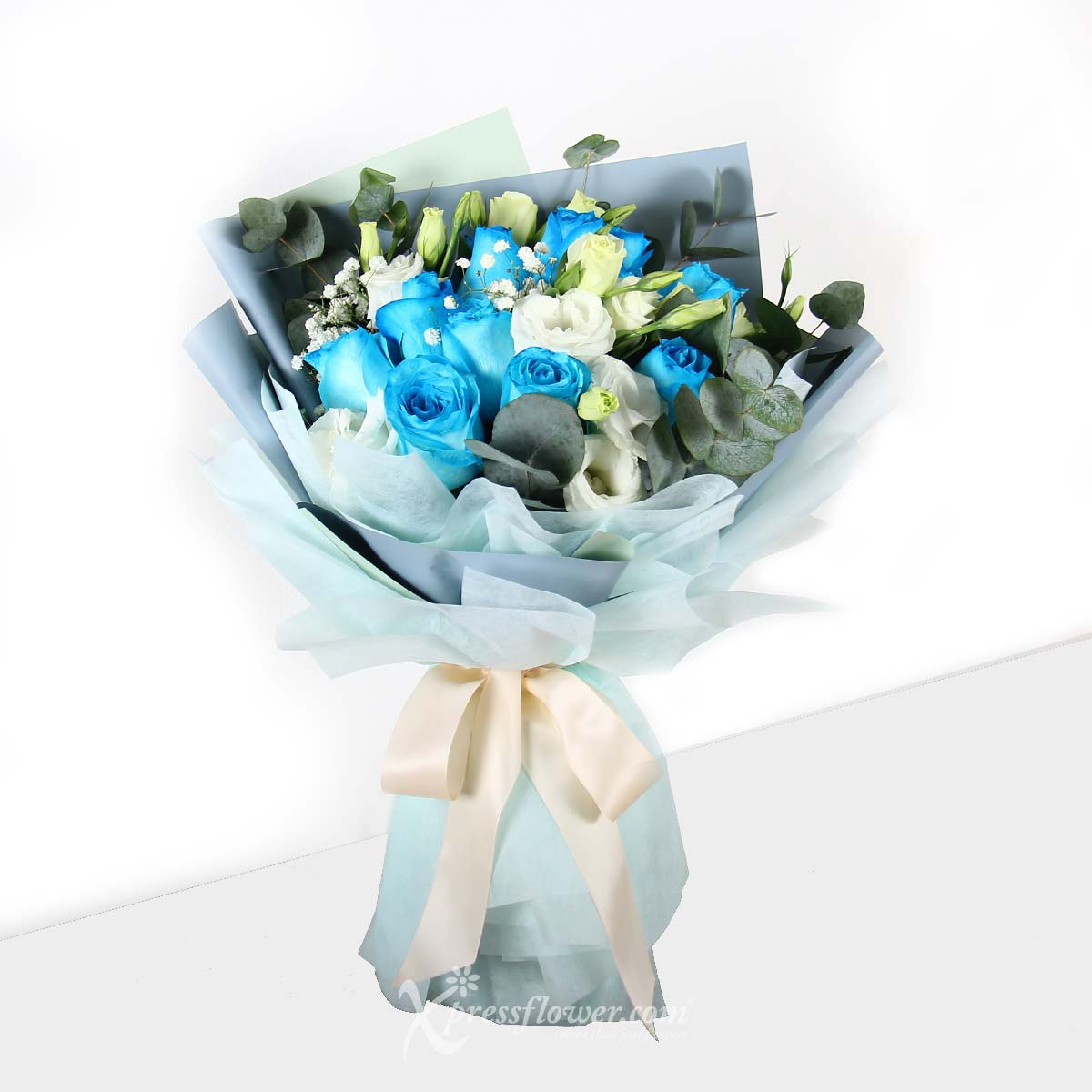 Gentle Desires (12 Blue Roses)