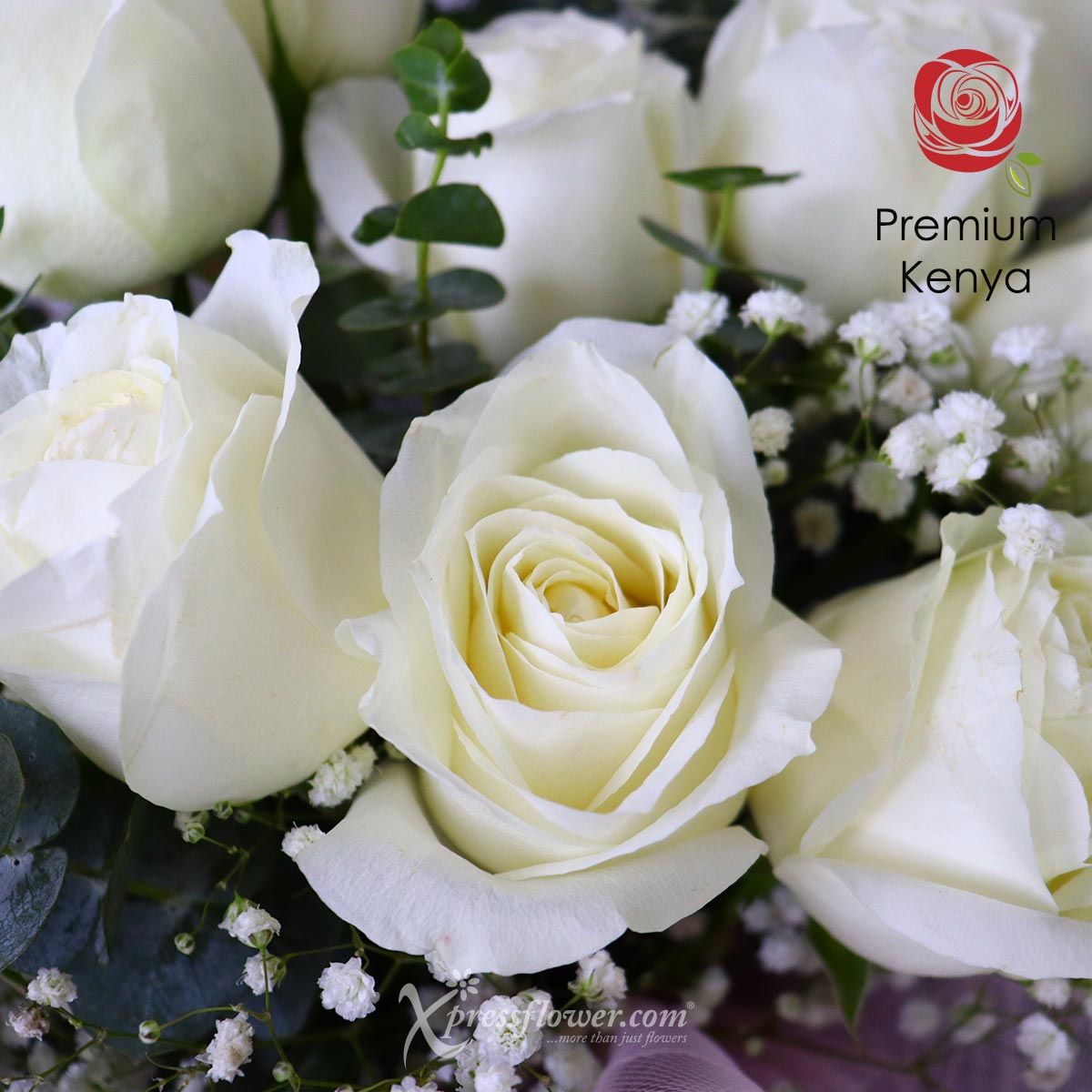 BQ2305 Loving Finesse 12 White Roses 1d