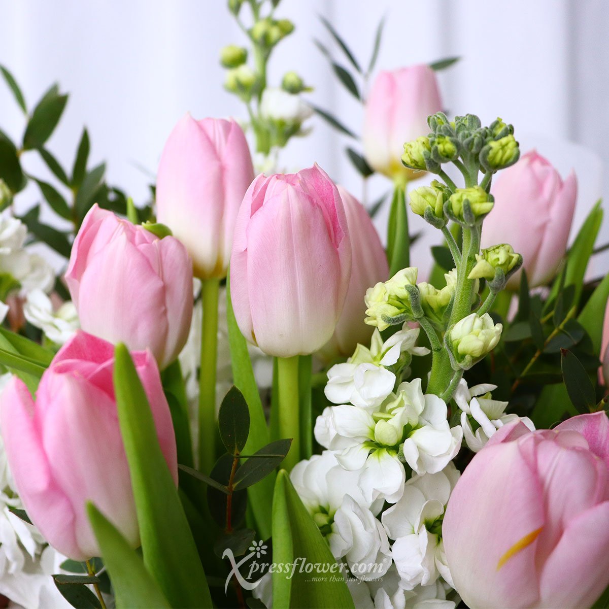 BQ2308 Passionate Monroe (10 Pink Tulips) 1d