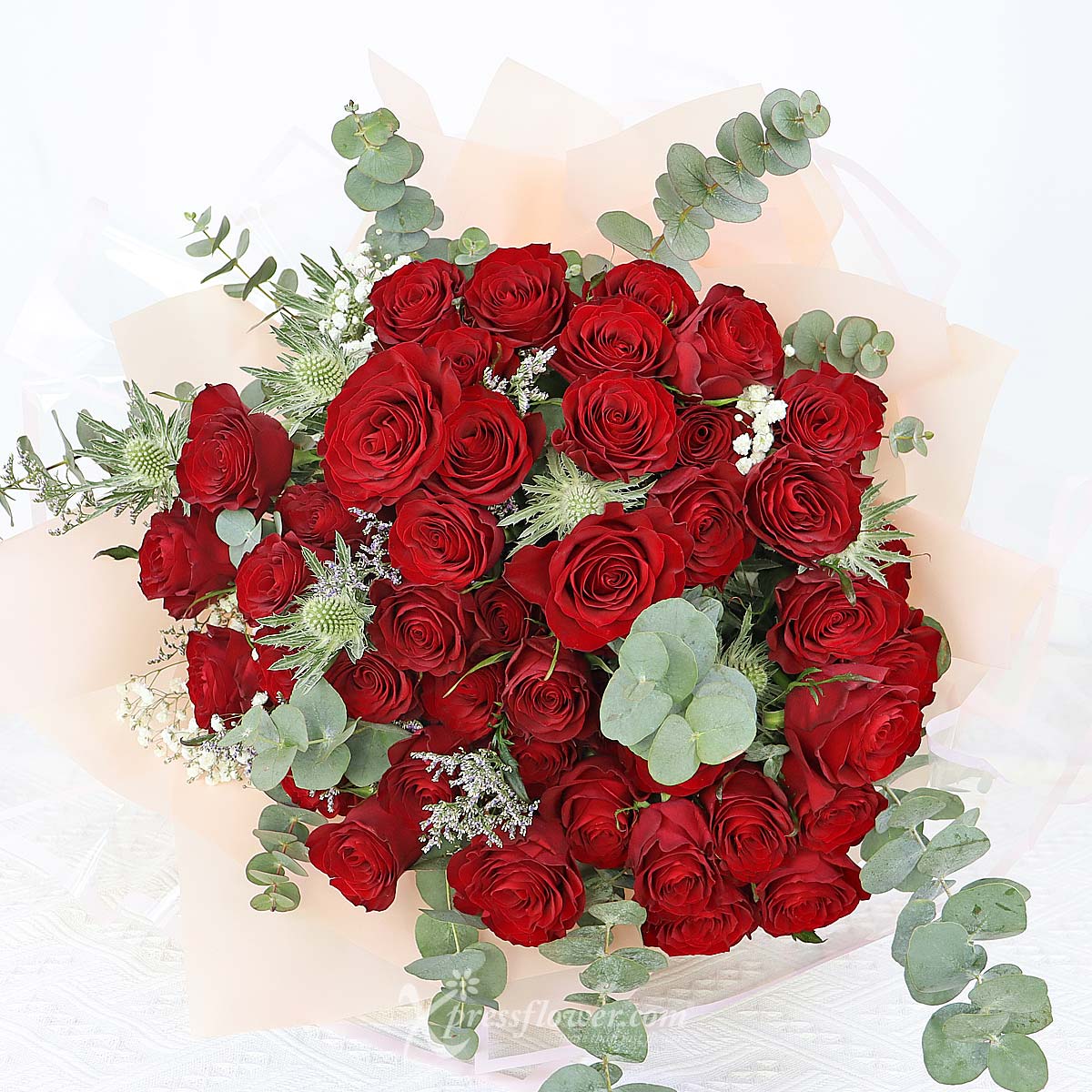 BQ2312 Unconditional Bliss (50 Red Roses) 1c