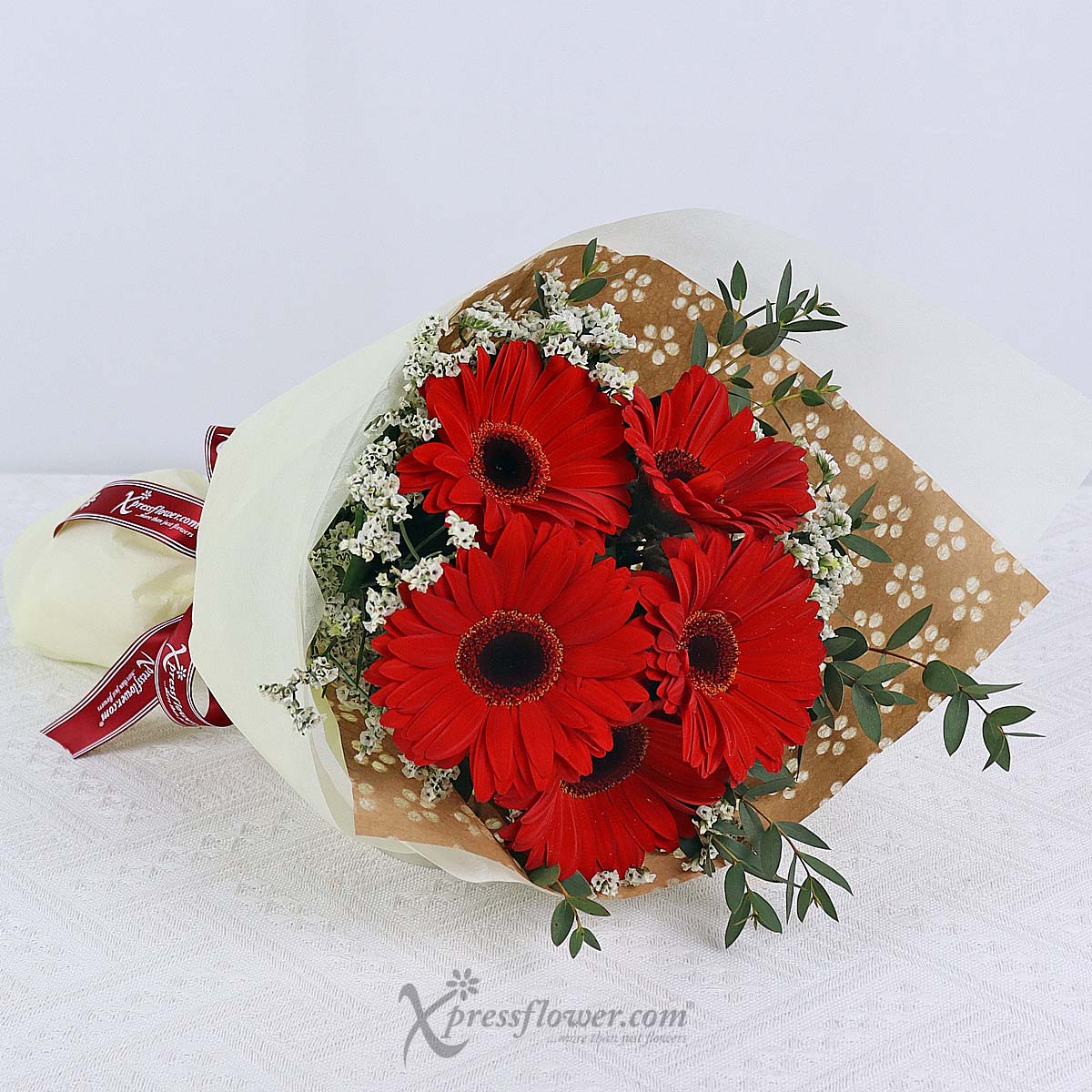 BQ2317 Passionate Blaze (5 Red Gerberas) 1b