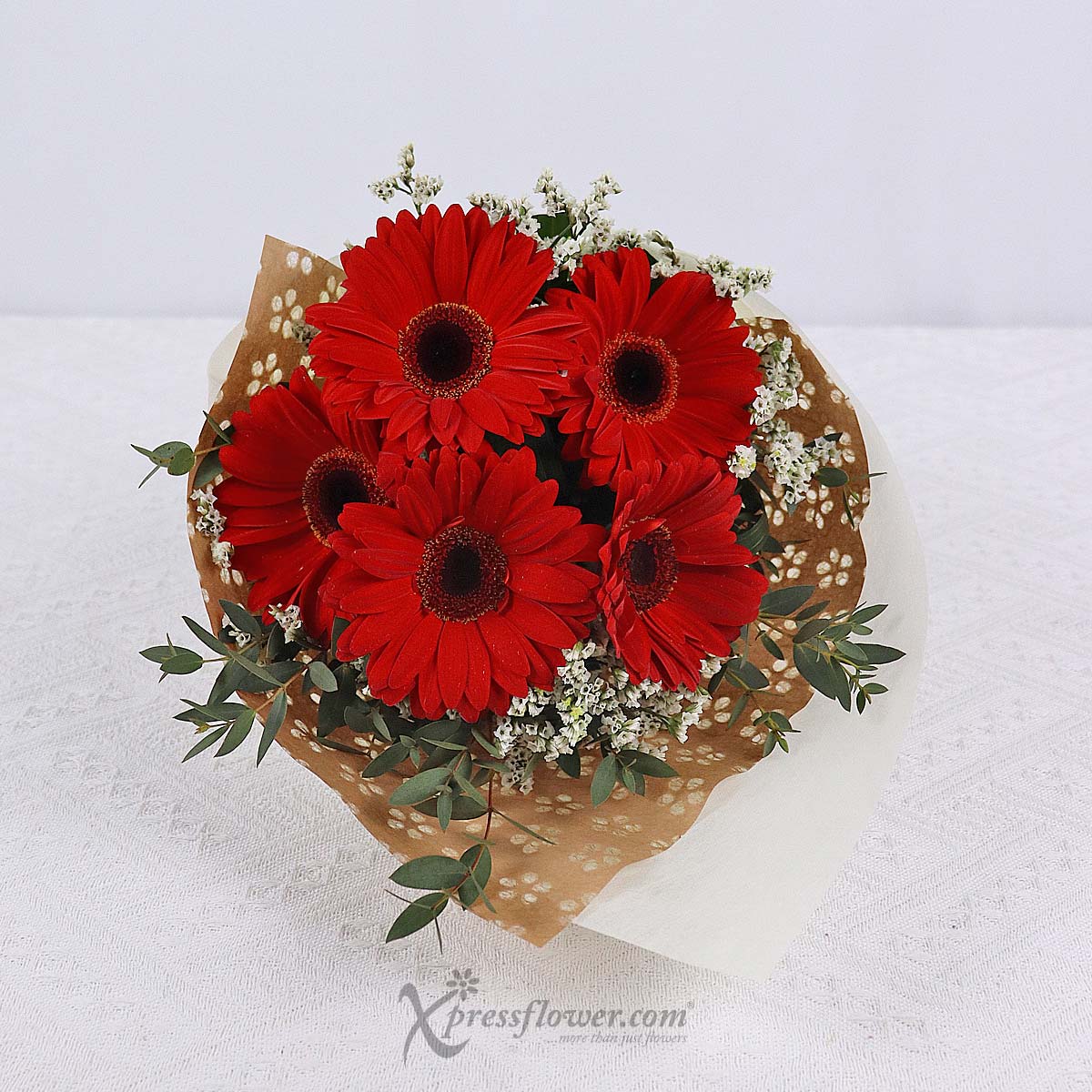 BQ2317 Passionate Blaze (5 Red Gerberas) 1c
