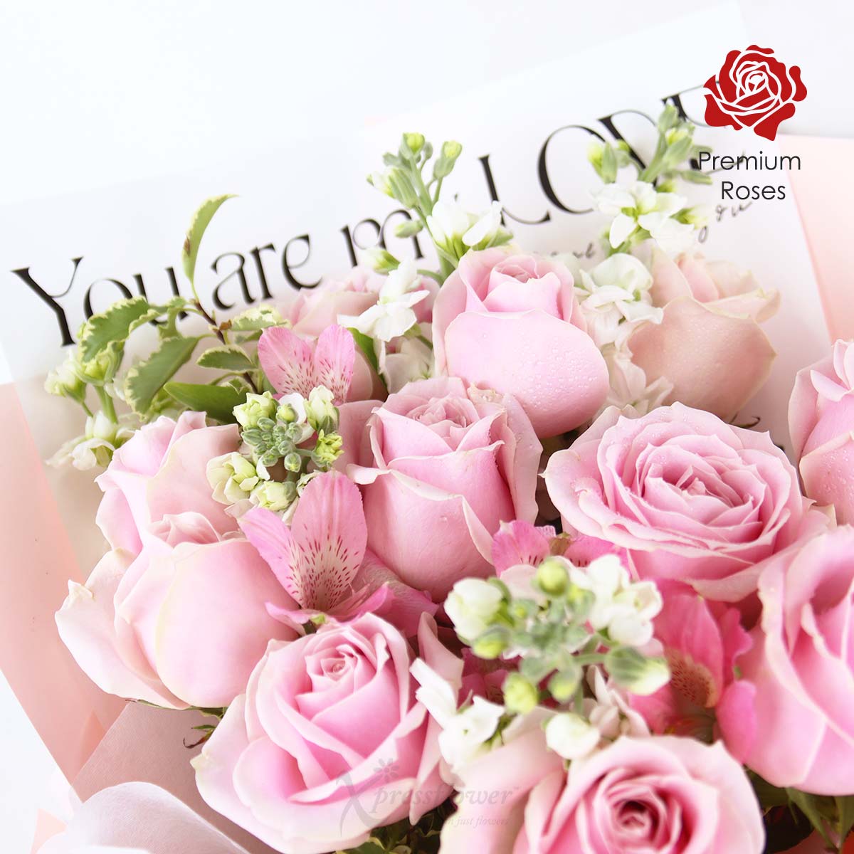 BQ2421_Blushing Peaks (11 Pink Roses)_1c