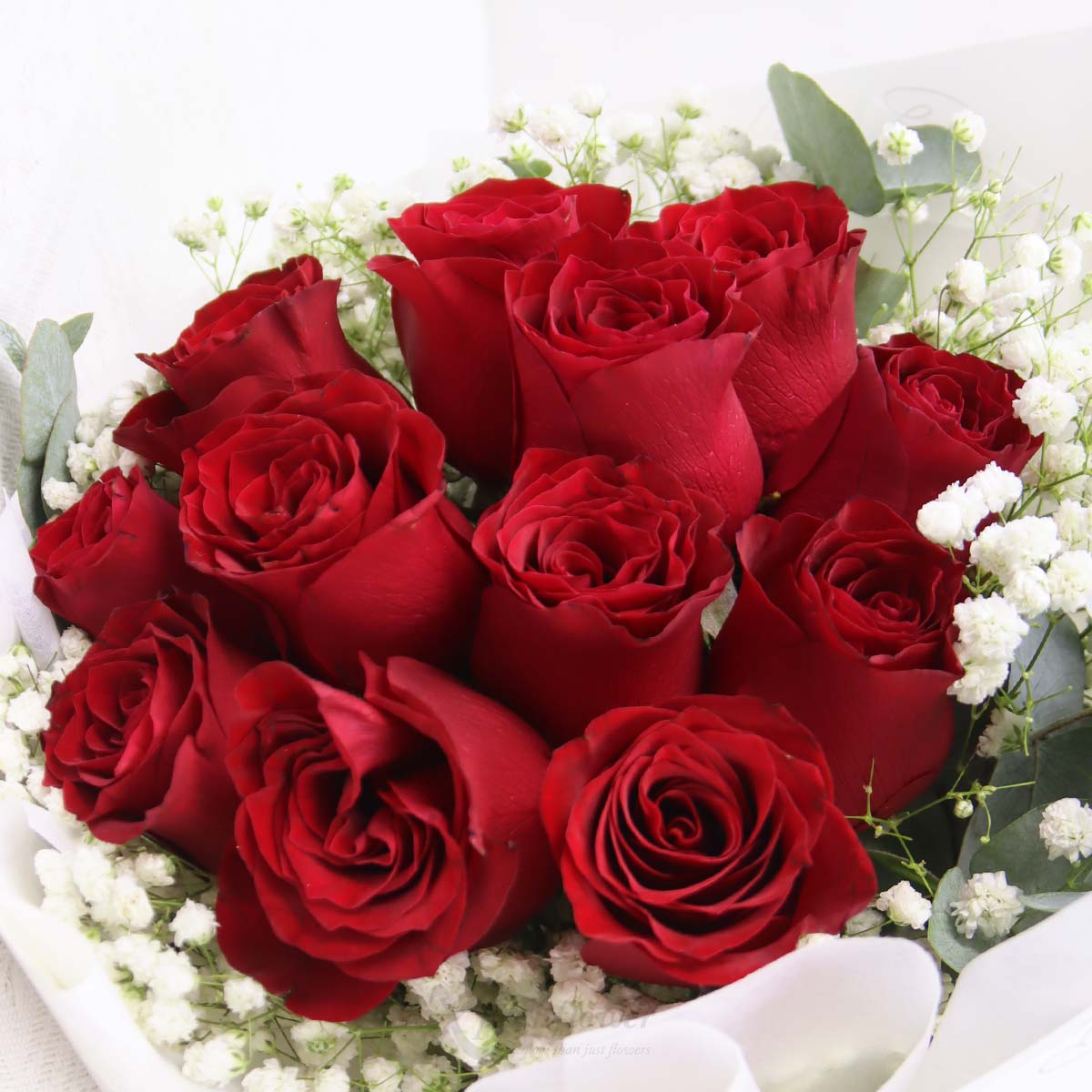 BQ2504 Scarlet Charm 12 Red Roses 1c