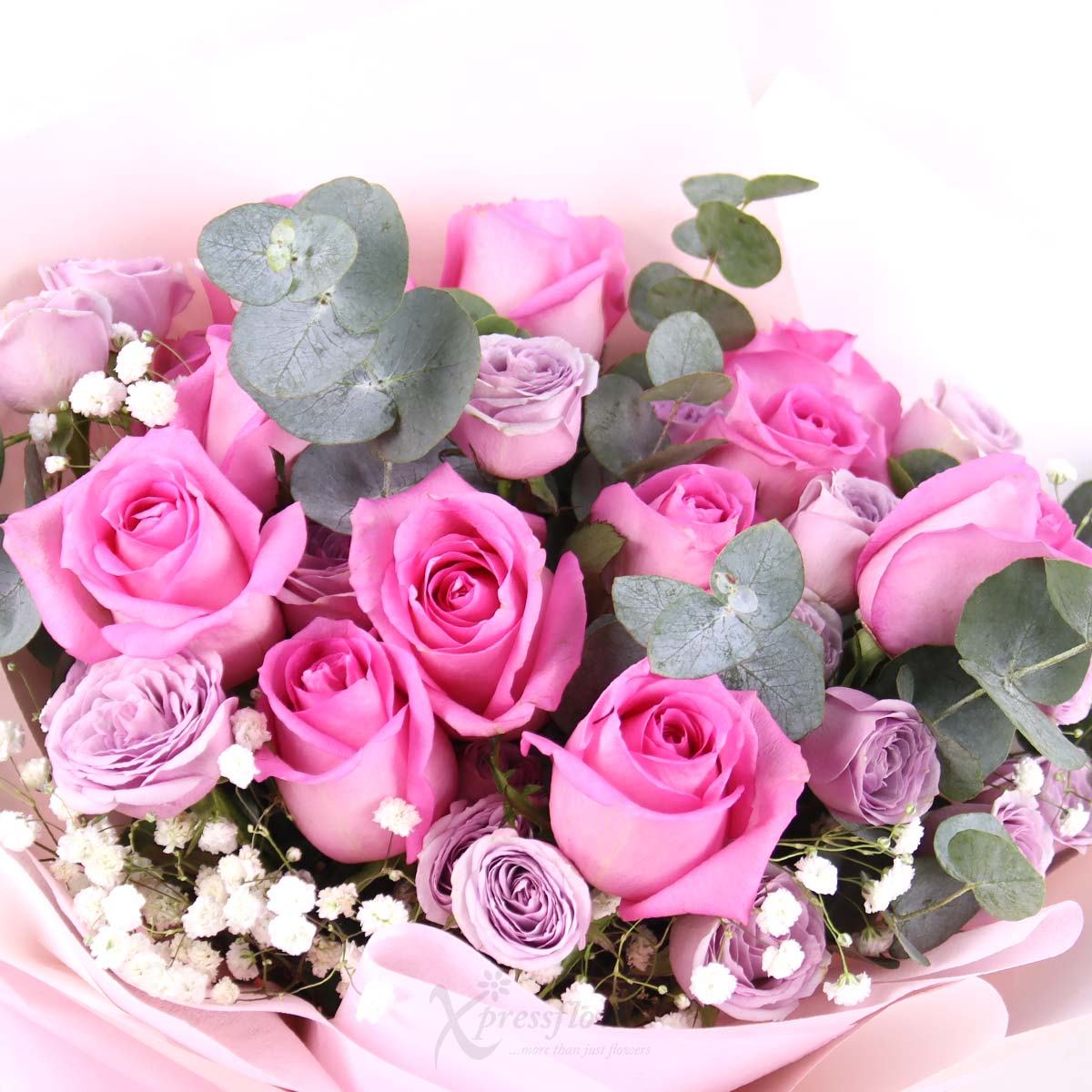 BQ2506 Passionate Blush 12 Dark Pink Roses 1c