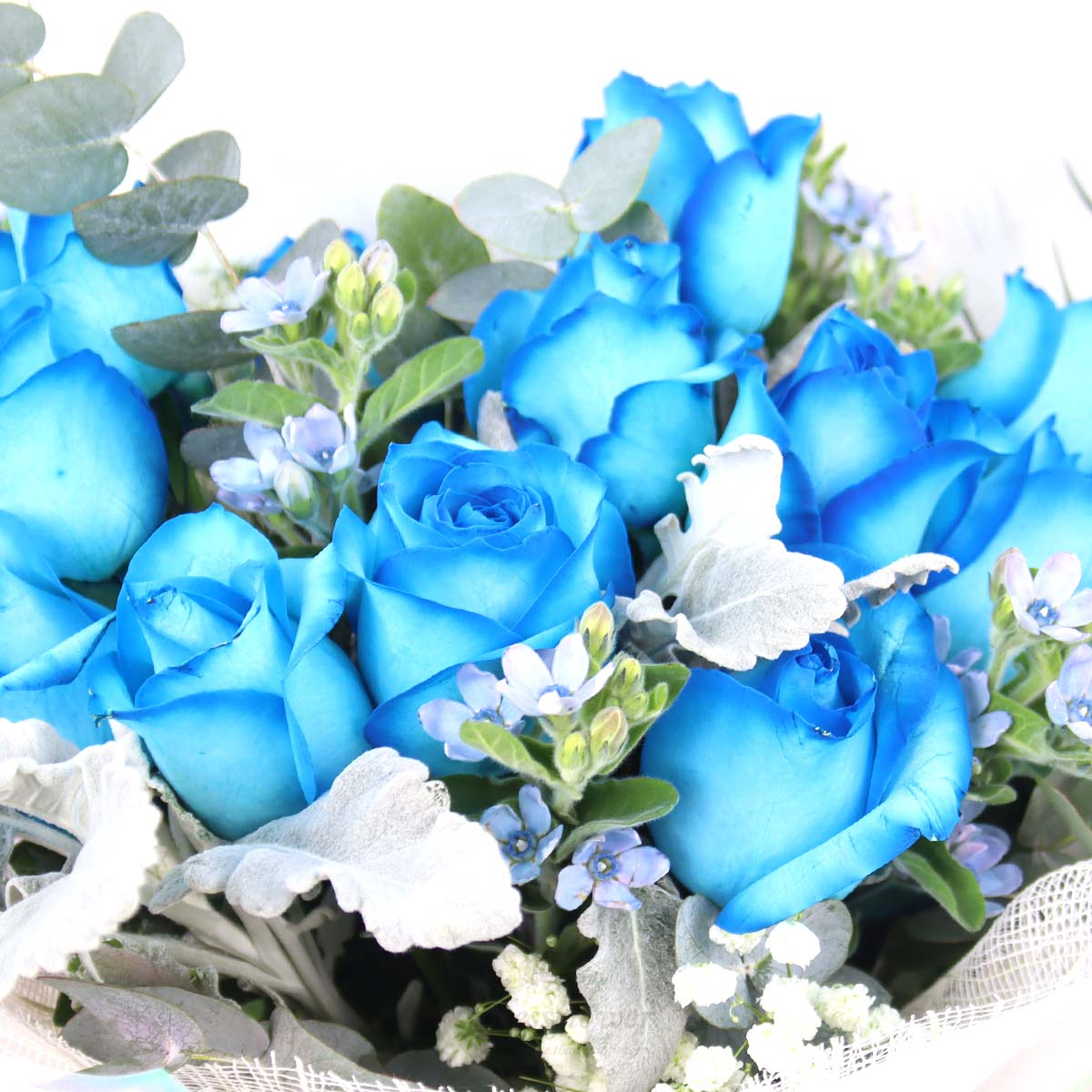BQ2509 Celestial Charm Blue Roses 1c