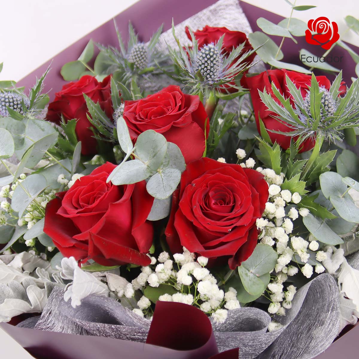 BQ2516 Velvet Radiance 6 Red Ecuador Roses 1c