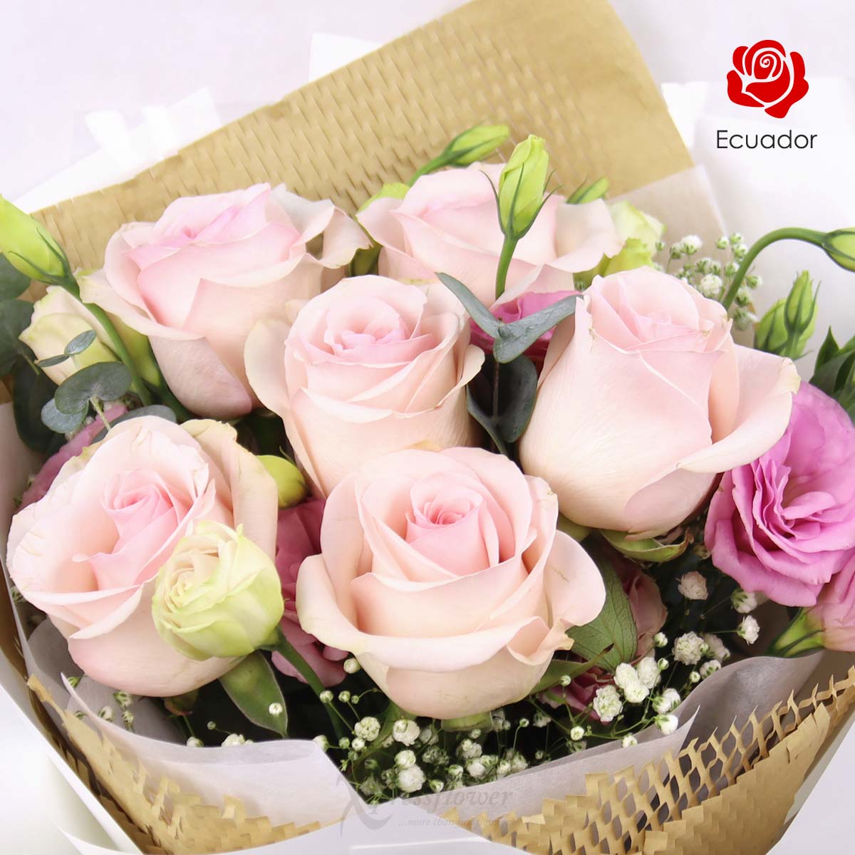 BQ2517 Sweet Embrace 6 Pink Ecuador Roses 1c