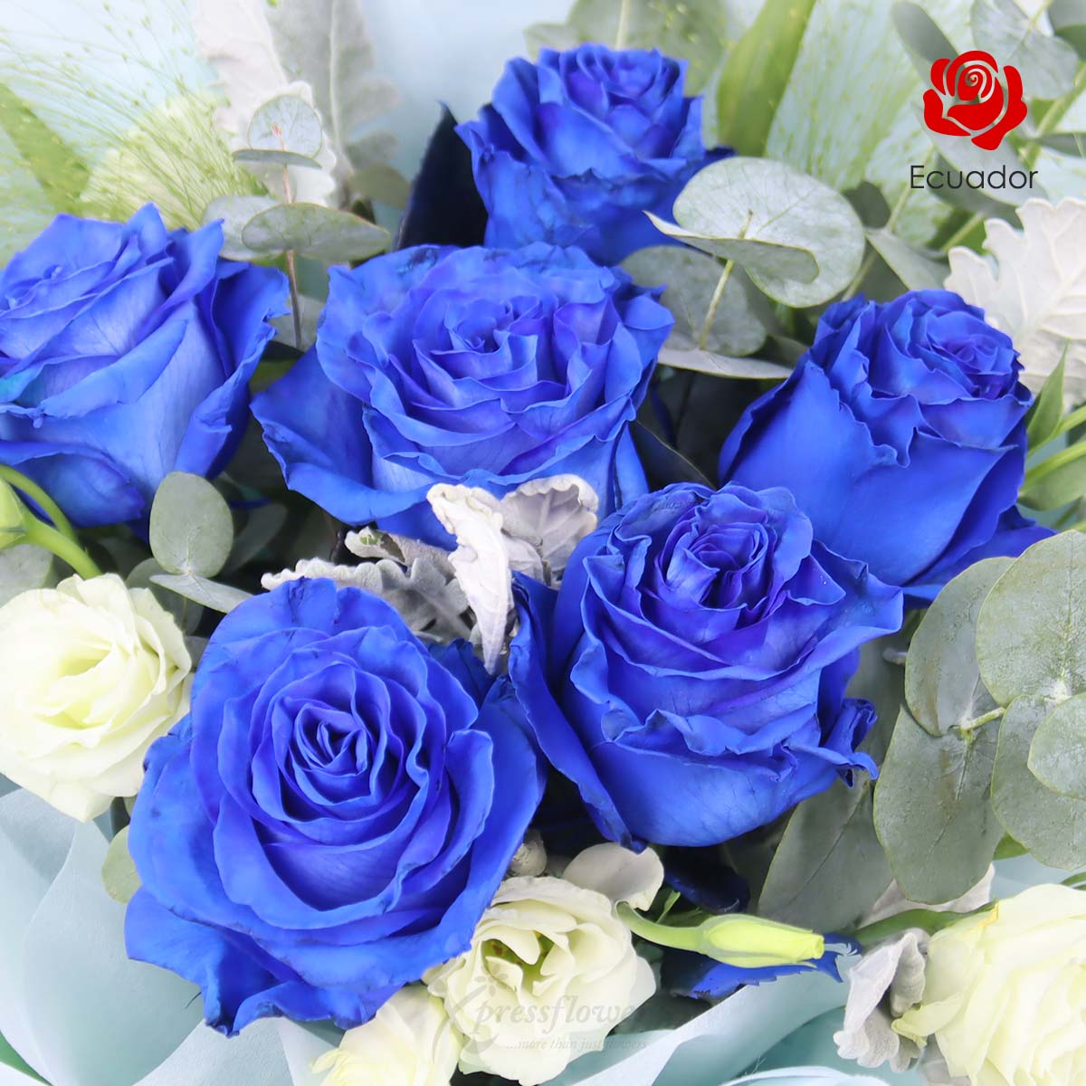 BQ2518 Sapphire Infatuation 6 Blue Ecuador Roses 1c