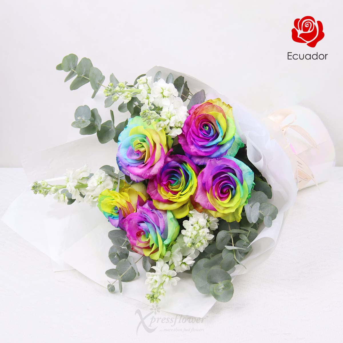 BQ2519 Chromatic Love 6 Rainbow Ecuador Roses 1b