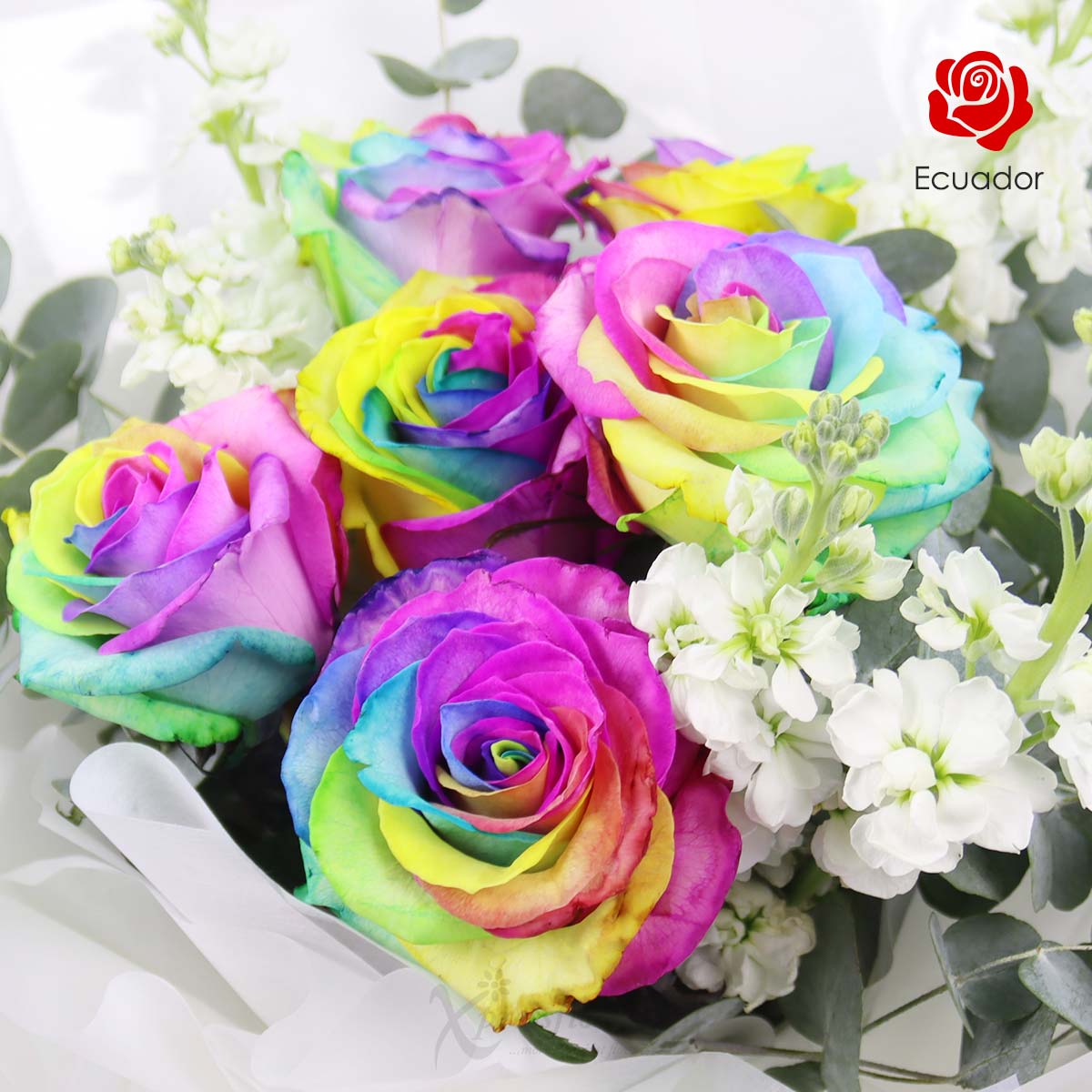 BQ2519 Chromatic Love 6 Rainbow Ecuador Roses 1c